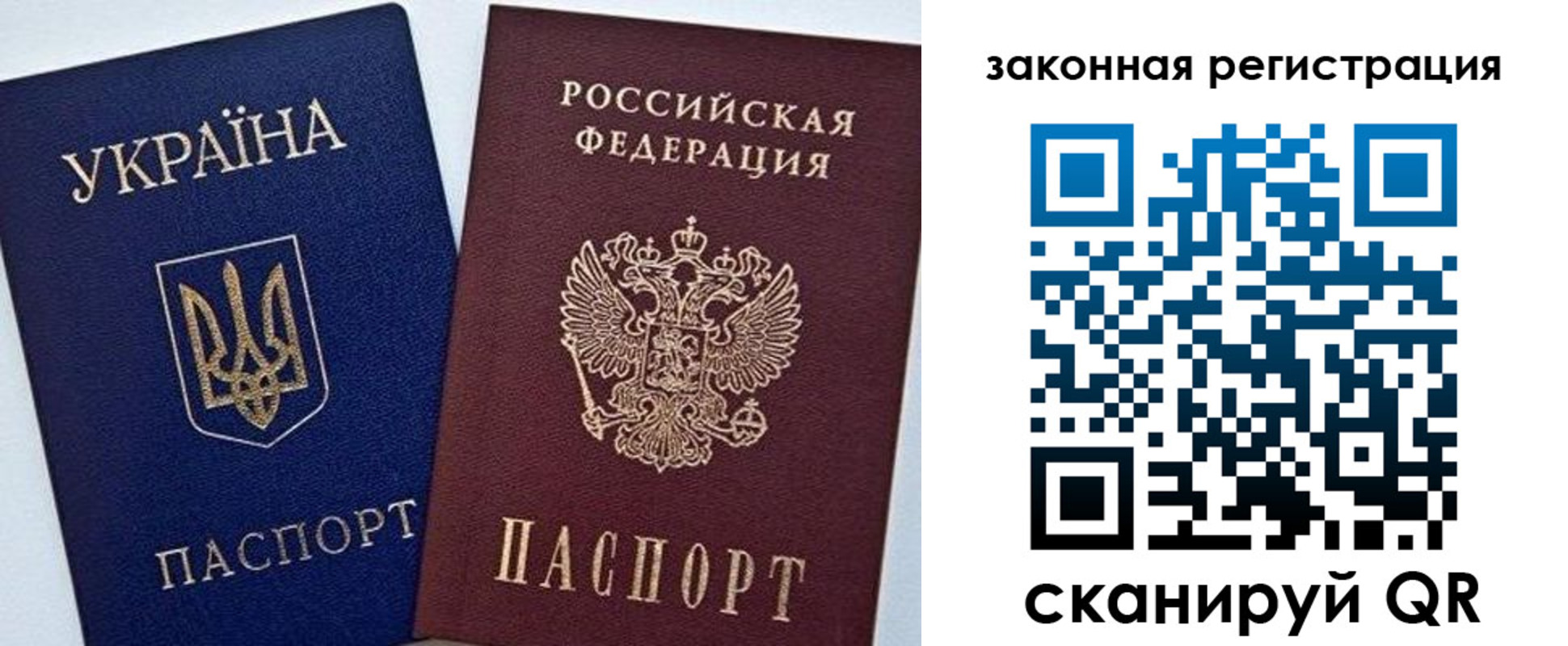 прописка для школы в Курске